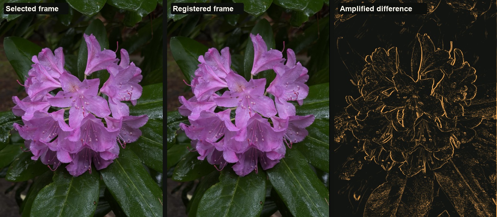Composite showing a selected frame, the registered frame, and an amplified difference view for alignment