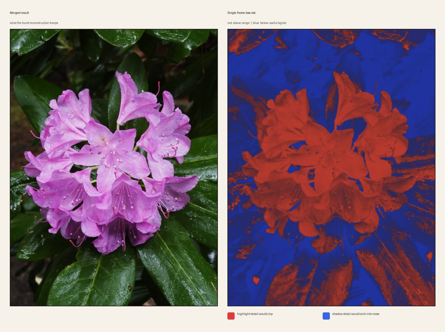 Two-panel comparison of the merged flower result and a single-frame clipping risk map